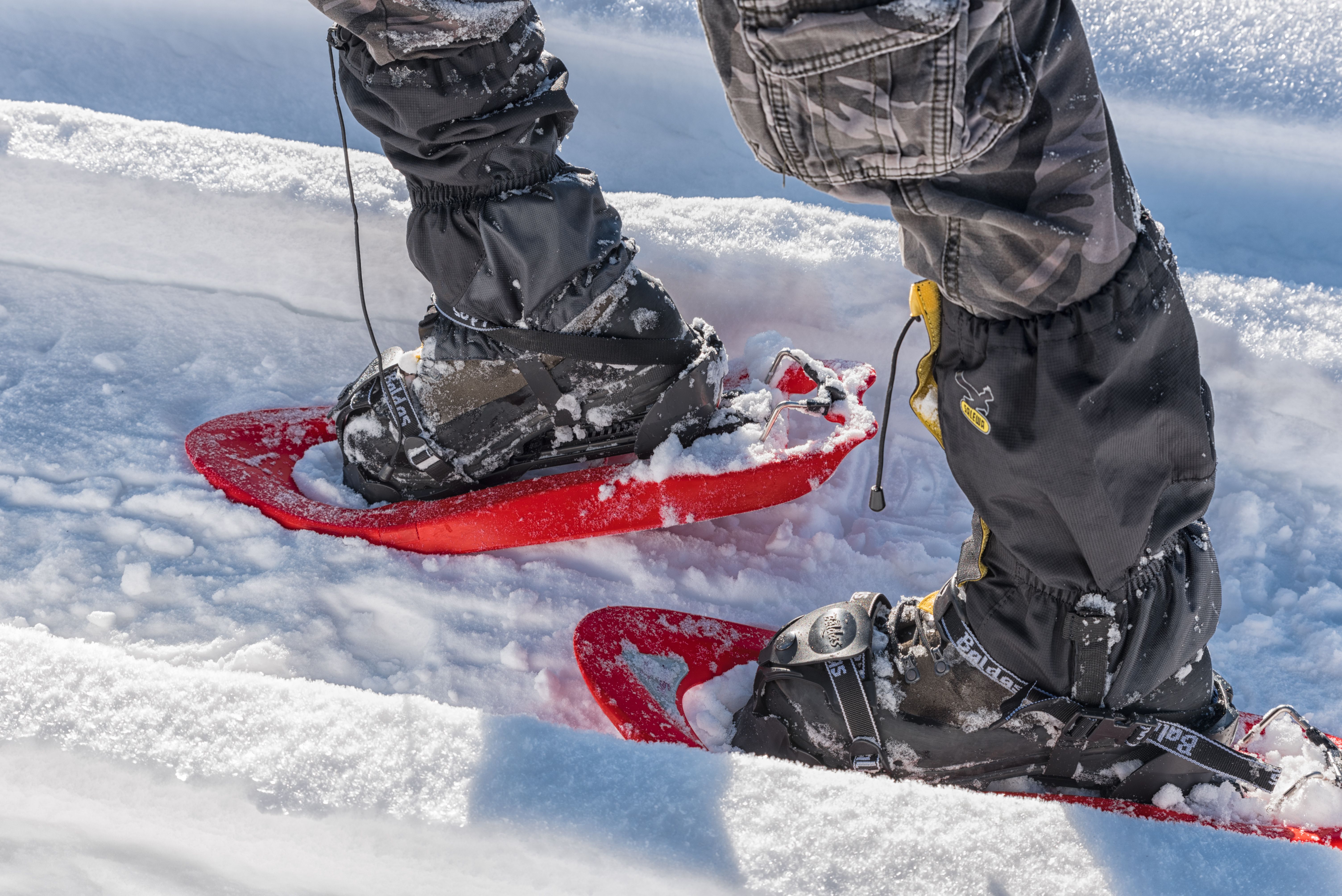 Things To Do Go Snowshoeing